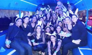 Bonche Bus