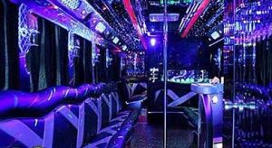 5 IDEAS DE FIESTA DE DESPEDIDA DE SOLTERA CON STRIPER